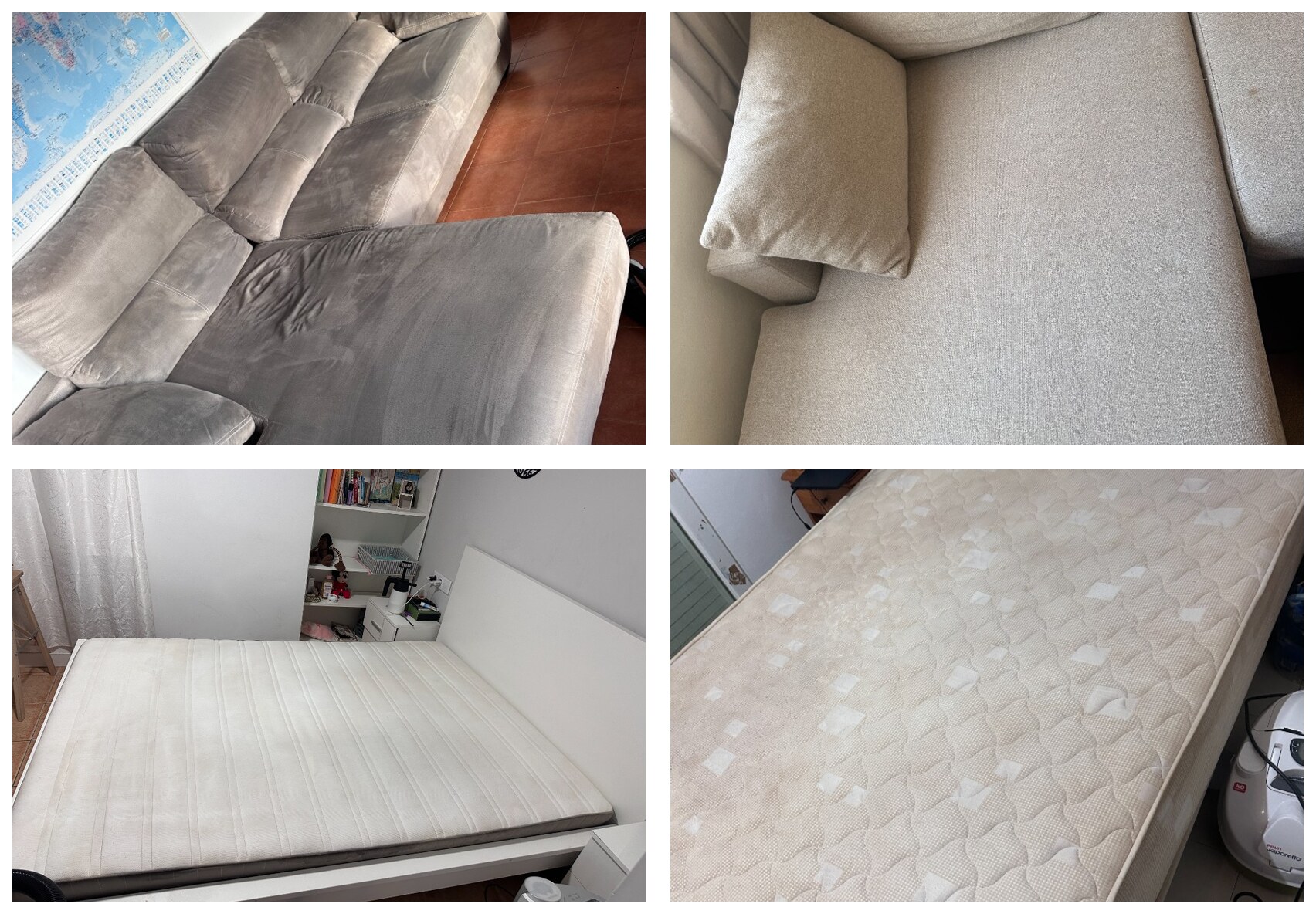Sofa and mattress professional cleaning